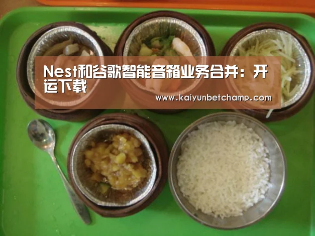 Nest和谷歌智能音箱业务合并：开运下载
