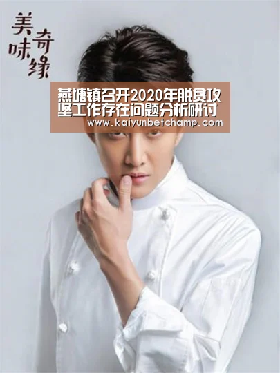 燕塘镇召开2020年脱贫攻坚工作存在问题分析研讨会“开运APP”(图3) 开运APP