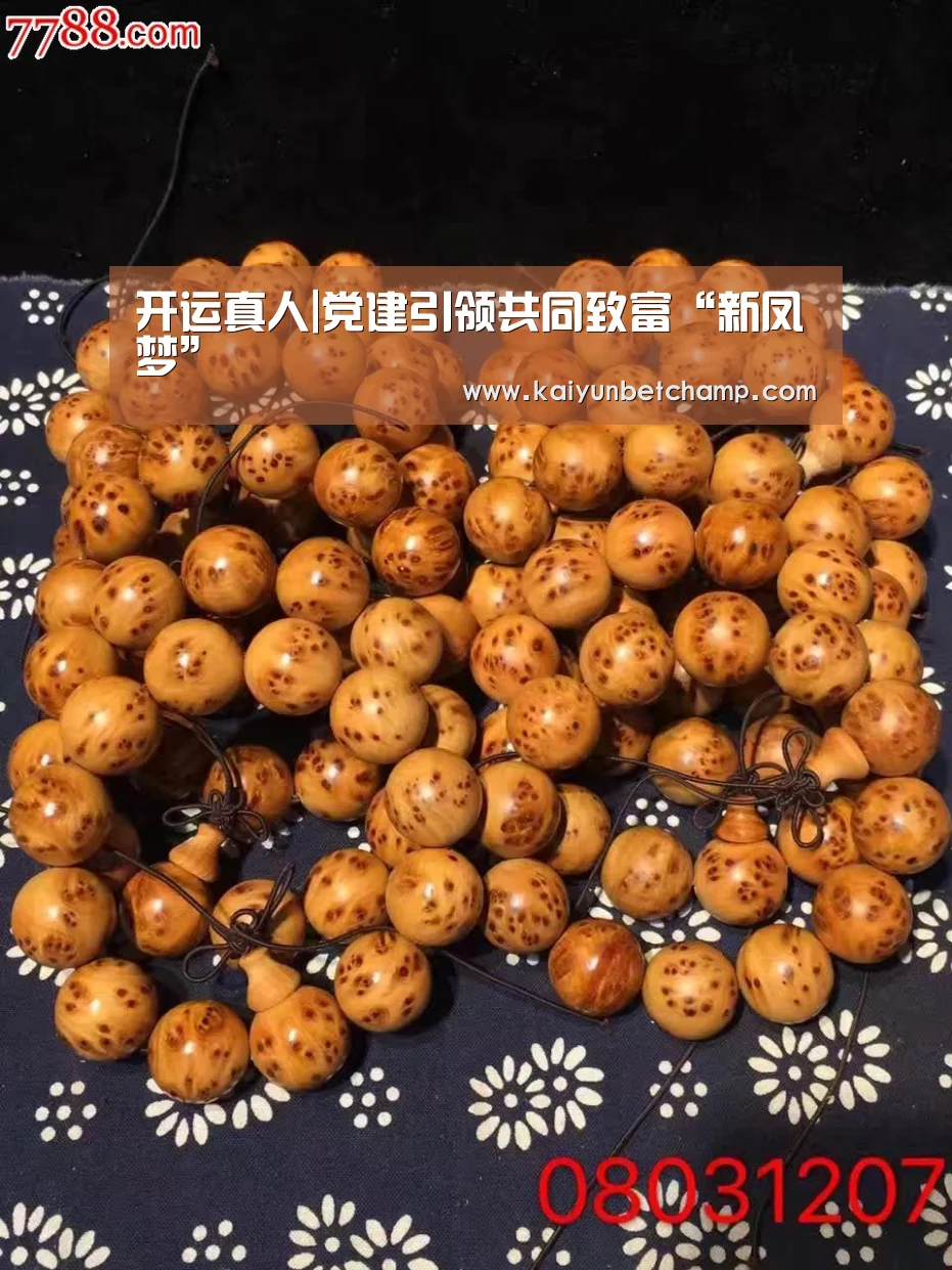 开运真人|党建引领共同致富“新凤梦”(图2) 开运真人